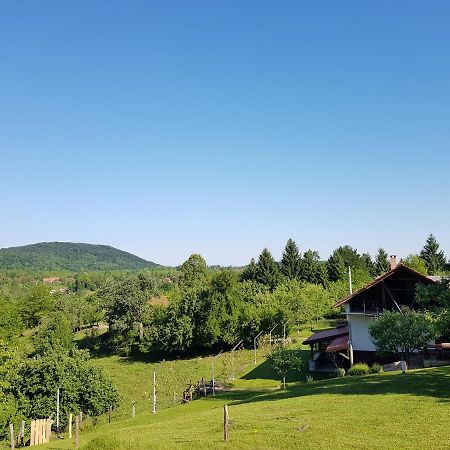 Guest House Pinus Generalski Stol Εξωτερικό φωτογραφία