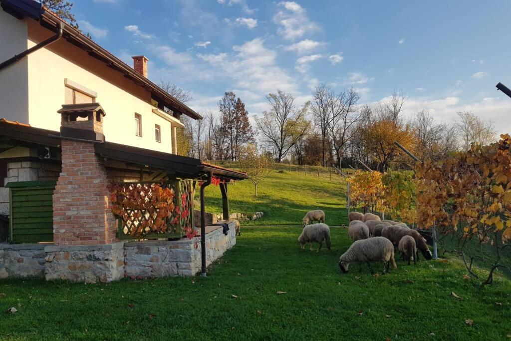 Guest House Pinus Generalski Stol Εξωτερικό φωτογραφία