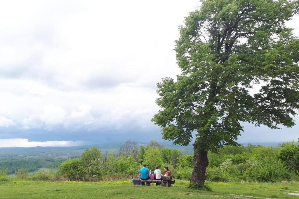 Guest House Pinus Generalski Stol Εξωτερικό φωτογραφία